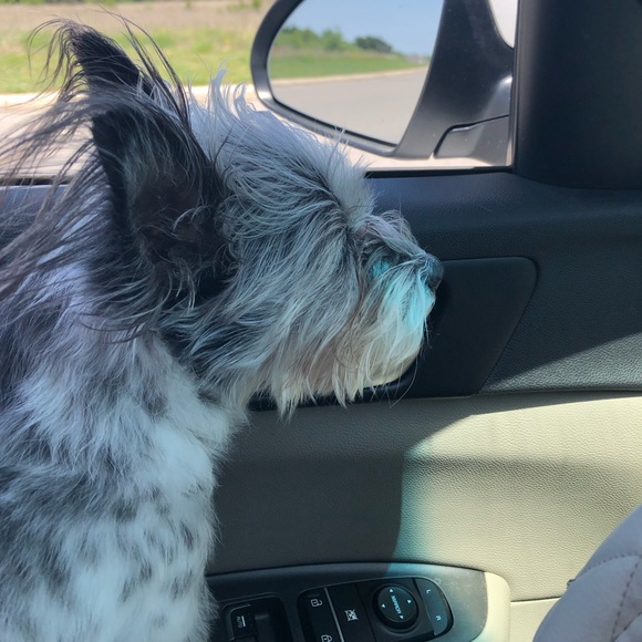 I give free shares for ♥️ - Picture 8 of 9